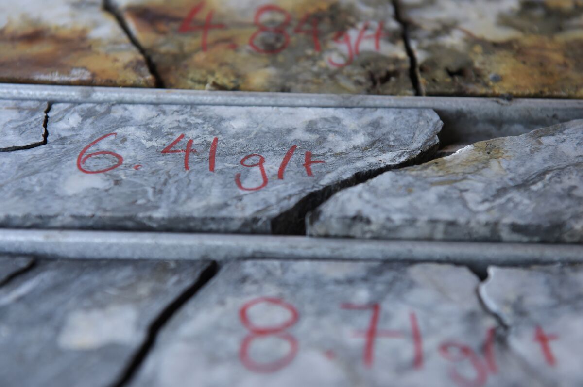 Australia Orders Chinese Investors to Sell Rare Earth Stakes